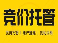 大型競價(jià)托管公司